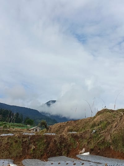 A landscape with a mountain partially obscured by clouds dominates the background. A small house is nestled among trees and greenery on the lower slopes. In the foreground, terraced hillsides display exposed soil and patches of dry grass. Rows of white plastic sheeting, presumably for agriculture, cover some of the land. Thin, curved poles with small flags or ribbons are planted along the hillside crest. The sky is overcast with a mix of white and gray clouds.