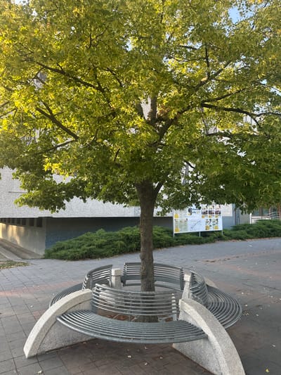 The image depicts a circular bench surrounding a tree in what appears to be a public urban space. The bench is constructed from grey metal bars arranged in concentric circles, supported by curved concrete bases. The tree has a thick trunk and is heavily foliated with green and yellow leaves, suggesting it might be autumn. In the background, a building with a textured facade and a modern design is visible, along with dense green bushes. A bulletin board with various posters and information is placed behind the bench and to the right of the tree. The ground is paved with grey bricks. The lighting suggests it is daytime, with sunlight filtering through the leaves and casting shadows.

This scene is located at the entrance to the Galanta Municipal Office, in Galanta, Slovakia.
