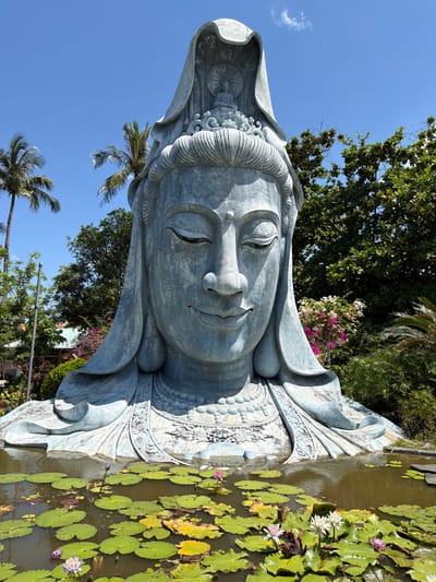 The image shows a large, weathered, grey stone statue of a serene female figure, possibly a goddess or Buddha, emerging from a pond filled with water lilies. The statue is the dominant feature, with its head and upper torso visible, adorned with intricate headdresses and jewelry. The figure's eyes are closed, and it has a gentle smile. Behind the statue, lush green trees and vegetation, including palm trees, are visible, under a bright blue sky with a few wispy clouds. The pond in the foreground is filled with numerous green lily pads, some with yellowed edges, and several water lilies in bloom, in shades of pink and white. The overall scene suggests a tranquil and spiritual setting, likely a temple or garden in Hòa Đa, Vietnam.