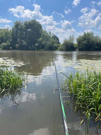 The image depicts a serene river scene, presumably in the vicinity of Tumutuk, Russia. The foreground is dominated by a fishing rod extending from the right side of the frame, angled towards the water. The rod has a black and green design and is partially submerged in the murky river water. Lush green reeds and grass line the riverbank on the right, while lily pads and a few small yellow flowers dot the water's surface on the left. The river reflects the sky, which is a bright blue with scattered white clouds. Dense green foliage forms the backdrop along the opposite bank, with trees and bushes creating a natural barrier. The overall impression is one of tranquility and a peaceful day spent fishing.
