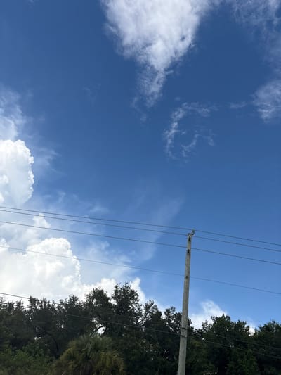 A low-angle, eye-level outdoor full shot captures a vibrant blue sky with scattered white cumulus clouds. In the mid-ground, a line of dark green trees forms a dense canopy across the frame. A weathered, light-colored wooden utility pole stands vertically on the right side of the image, supporting multiple black electrical wires that stretch horizontally across the scene. A large, fluffy white cloud is positioned in the upper left quadrant of the image, contrasting with the clear blue sky. The image appears to be taken during daylight hours. The scene depicts a semi-rural or suburban environment, potentially in North Port, United States of America, given the presence of utility infrastructure and natural foliage. No people are visible in the image.