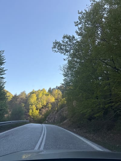 View from a car window in Echinos, Greece, showing a road winding through a forested area on a sunny day. The road has a double white line. The sky is blue with a contrail. Trees with green leaves flank the road on both sides.