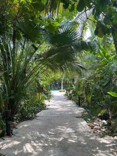 The image shows a stone pathway leading through a dense tropical jungle, with lush vegetation on both sides. A small glimpse of a blue pool can be seen in the distance, indicating the presence of a nearby resort or hotel. The image was taken in Santa Teresa, Costa Rica, at the coordinates 9.635 latitude, -85.161 longitude. The scene is sunny and bright, with the ground covered in dappled sunlight. There are no people in the image. A black metal lamppost is visible on the left side of the path, and the pathway is paved with irregular stones. The scene is peaceful and inviting. The image suggests a tranquil, secluded space with a tropical ambience.