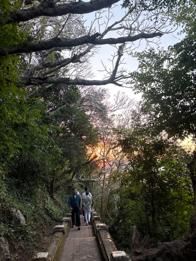 The image depicts a paved pathway winding through a densely vegetated area in Choumkhong, Laos, illuminated by the warm glow of either sunrise or sunset. The pathway, constructed of reddish bricks in a herringbone pattern, is flanked by low concrete walls with decorative caps. On the left side, the terrain ascends, covered in lush green foliage and small rocks. On the right, a mix of leafy green trees and trees with bare, intricate branches are visible, with the sun's orange and yellow light radiating through their silhouettes in the upper right quadrant. Four individuals are walking along the path, away from the camera. The person in the foreground, left, is a male wearing a dark green shirt over a white t-shirt and dark pants, with a dark pouch across his body. Behind him, another male wears a white t-shirt and light pants. Further back, a female in a light-colored long-sleeved top and light pants follows, with a fourth person, partially obscured in white attire, walking behind her. All subjects are in motion, proceeding along the path.
