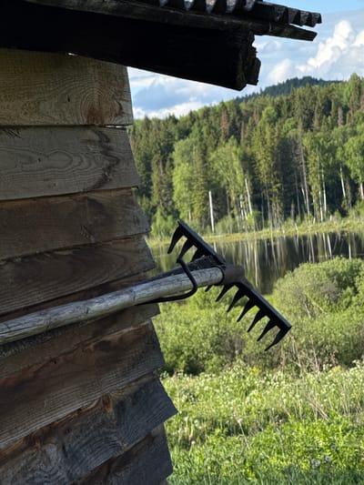 A wooden fence and shed are in the foreground. A rake is leaning against the fence. In the background is a landscape with trees and a body of water, possibly a lake or river, reflecting the trees and sky. The photo appears to be taken in a rural or wooded area. The location is Medvedka, Russia.