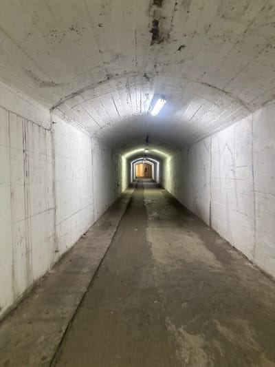 The image depicts a concrete tunnel with a high, arched ceiling. The walls and ceiling are painted white but show signs of age and weathering, with dark stains, discoloration, and a rough texture. Fluorescent lights are mounted along the ceiling, illuminating the interior. The tunnel floor is also concrete and appears damp in places, with a raised concrete pathway running along the left side.
In the distance, the tunnel opens into a brighter area. A single figure, appearing to be a person, is visible in silhouette against the light at the far end of the tunnel.
This scene is identified as being located in the city of Boreti, Montenegro.