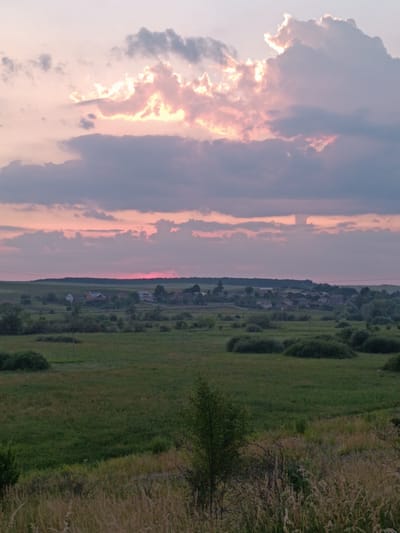 This is a vertical, eye-level, full shot of a rural landscape at dusk. The sky is filled with pink and grey clouds, with the sun's glow visible through some of the clouds. In the middle ground, a village is nestled among rolling green fields and trees. The foreground is a meadow of tall grasses, with a small tree in the lower right quadrant. The scene is peaceful and serene, with a sense of quiet beauty. The location is the outskirts of Lozova, Ukraine.
