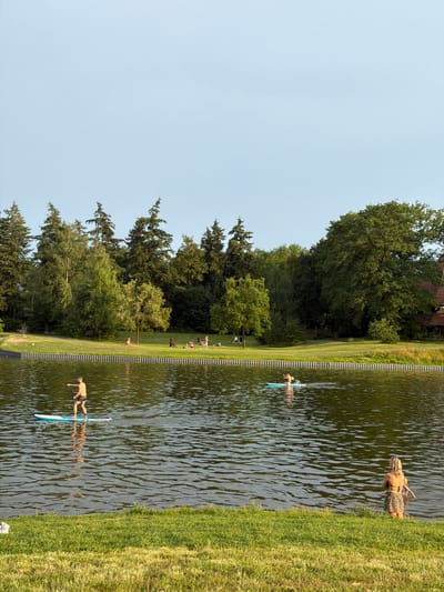 The image depicts a serene scene at an outdoor public space, likely a park or recreation area, with a body of water in the foreground. The water is a dark green, reflecting the surrounding trees and the sky, with gentle ripples on its surface. In the water, several people are engaged in recreational activities. One man is paddleboarding on a blue board, standing upright and holding a paddle. Further out, another person, also on a paddleboard, is visible. Closer to the shore, a woman wearing a leopard-print skirt and a black bikini top stands waist-deep in the water, looking towards the left of the frame, with another person partially visible behind her in the water.

The shoreline is lined with lush green grass, transitioning into a pathway and then a sloped grassy area with scattered people. A fence with vertical wooden posts separates the water from the grassy bank. Beyond the grassy area, a dense line of trees forms a natural backdrop. The trees are a mix of evergreens and deciduous trees, with a few taller spires of evergreens reaching towards the sky. The sky above is a clear, pale blue, suggesting a pleasant day. On the far right of the image, a portion of a building with a reddish-brown roof is visible, peeking through the trees.

While the image does not explicitly state the location, the prompt suggests the city of Oldenzaal, Netherlands. If this is indeed Oldenzaal, the scene likely represents a popular spot for residents to relax and enjoy outdoor activities during warmer weather. The overall impression is one of tranquility and leisure.