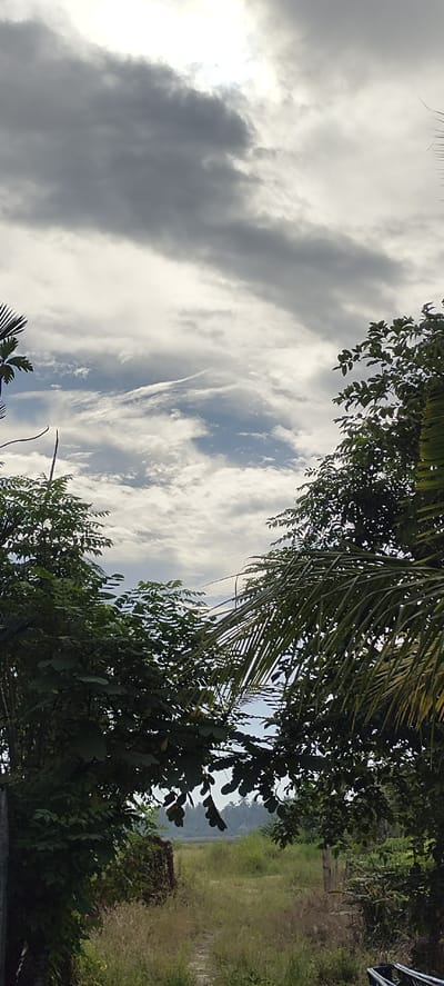 This is an outdoor, vertical, medium shot photograph. The image features a landscape scene with a cloudy sky. The foreground is dominated by lush green foliage from trees and plants framing the sides of the image. A narrow dirt path leads through tall, dry grass in the middle ground. In the background, a flat expanse of land with scattered trees is visible under the overcast sky. The scene appears to be located in a rural or semi-rural area, possibly on the outskirts of Lhokseumawe, Indonesia, given the vegetation type and general landscape. There are no people or animals present. The lighting suggests it is daytime, but the thick clouds obscure direct sunlight.