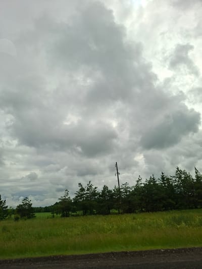 The image depicts a cloudy sky over a rural landscape in Lesnye Morkvashi, Russia. A line of evergreen trees forms a border between a grassy field and a distant green field. Power lines and a utility pole are visible across the horizon. The foreground shows a dark, textured surface, likely a road or path. The overall impression is of a natural, somewhat overcast environment. There are no people or animals visible in the frame.