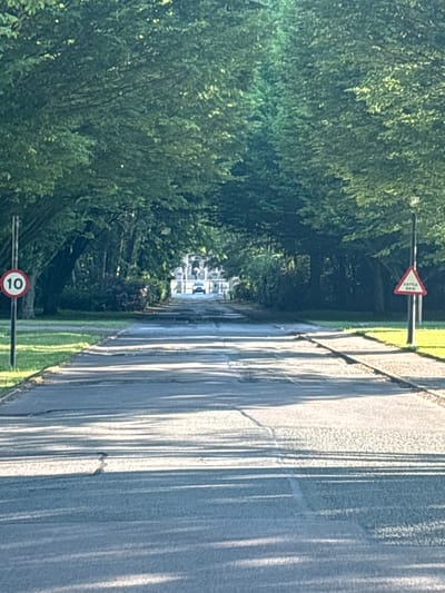 The image depicts a road in Crewe, United Kingdom. The road is flanked by trees. There are road signs visible: a triangular "Cattle Grid" warning sign and a circular speed limit sign indicating "10." A vehicle is at the end of the road. The road itself appears to be cracked in multiple places and there are shadows being cast on the road from the trees.