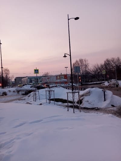 The image depicts a winter street scene in the city of Yaromaska, Russia, at either dawn or dusk, evidenced by the pale pink and purple hues of the sky. The foreground is covered in undisturbed white snow, with faint footprints present. In the mid-ground, a row of young deciduous trees, supported by stakes, protrudes from the snow. Beyond these, a partially cleared road with visible asphalt and slush runs horizontally across the frame. A single vehicle with illuminated headlights is observable on the road, moving away from the viewer. Large, irregular snowdrifts and piles are prominent along the road edges and median.

Multiple black streetlights with contemporary luminaires are positioned throughout the scene. Several traffic signs are visible, including multiple yellow diamond-shaped pedestrian crossing signs and a red circular stop sign. In the background, a series of multi-story buildings are present. One prominent building features orange and white paneling and displays a Cyrillic sign that reads "МЕБЕЛЬ" (Furniture). Bare trees line the distant parts of the scene. No discernible individuals are present within the frame.
