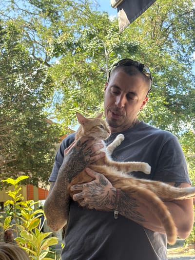A man with a shaved head and extensive arm tattoos is holding an orange cat. The cat is looking up at the man. The man is looking down at the cat. The scene is outdoors, with green foliage visible in the background. The angle is slightly tilted, and the lighting is bright, casting some shadows. The man is wearing sunglasses on his head and a grey t-shirt.
