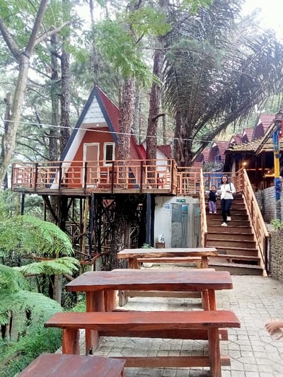 The image depicts an outdoor leisure area in Kajar, Indonesia, characterized by multi-level structures integrated into a wooded environment. In the center-left, a prominent A-frame treehouse with a reddish-brown roof and orange walls is visible, elevated on wooden stilts. It features a balcony with light-colored wooden railings, a front door, and two windows; a small table and two chairs are present on the balcony.

Below the treehouse and to its right, a light-colored building with a public restroom sign (male and female symbols) and a white water dispenser is visible. To the right of this building, a wide wooden staircase with wooden railings descends towards the foreground.

An adult female wearing a white top and dark pants is descending these stairs, holding the hand of a small child in a purple top. In the foreground, three rustic wooden picnic tables with benches, constructed from dark, untreated wood, are arranged on a paved ground composed of light-colored square tiles.

The environment is heavily forested with tall, slender trees, some resembling conifers, and a large palm-like tree on the right side of the treehouse. Lush green ferns are visible in the lower-left portion of the image, indicating dense undergrowth. The sky appears overcast or diffused. A partial view of a hand is visible in the lower right corner of the frame.