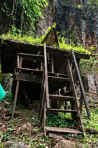 This is a medium-shot, eye-level, full-color photograph of an old wooden structure situated in a lush, overgrown environment, likely in the city of Dolat Rayat, Indonesia. The structure, which appears to be a small house or shelter, is elevated on stilts and features a steep, triangular roof covered in vibrant green moss and small plants. A weathered wooden ladder, also overgrown with greenery, leans against the side of the structure, providing access to an upper level. The structure itself is made of dark, aged wood, showing signs of decay and disrepair. The surrounding environment is densely vegetated with trees, vines, and ground cover. In the background, a sheer rock face looms, further emphasizing the natural, rugged setting. There are no people visible in the image. The overall scene conveys a sense of abandonment and the power of nature reclaiming man-made structures.