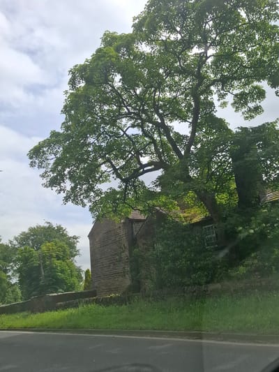A stone building with a tiled roof and a window is partially obscured by a large, leafy tree. A low stone wall runs in front of the building, with green grass growing on either side. A road is visible in the foreground. The image is set in Barnsley, United Kingdom, likely in a rural or semi-rural area given the presence of the stone building and surrounding greenery. The sky is overcast with clouds.