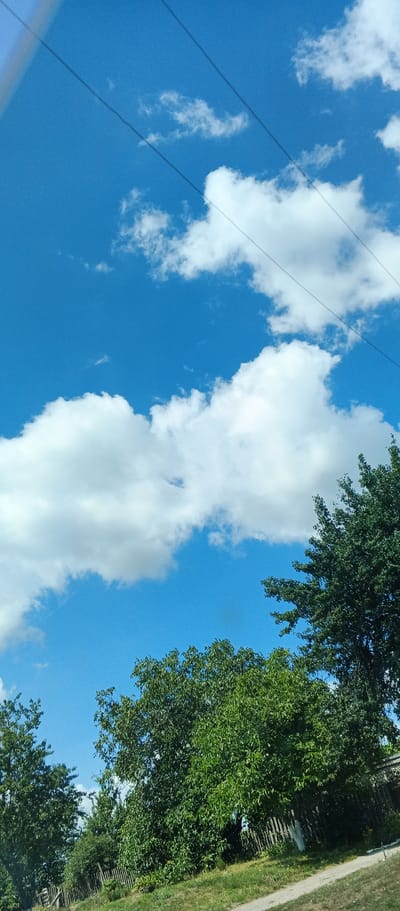 The image depicts a bright, sunny day with a clear blue sky partially obscured by fluffy white clouds. Three black wires are visible stretched diagonally across the upper portion of the frame. Below the sky, a dense canopy of green trees occupies the middle and lower sections of the image. The trees appear lush and full, with varying shades of green indicating different types or lighting conditions. A rustic wooden fence runs horizontally across the lower foreground, partially visible behind the foliage. A dirt path or road is also present, angling from the lower right towards the center. The overall impression is a natural, rural landscape under a summer sky, possibly in Kholodnianske, Ukraine, given the context provided.