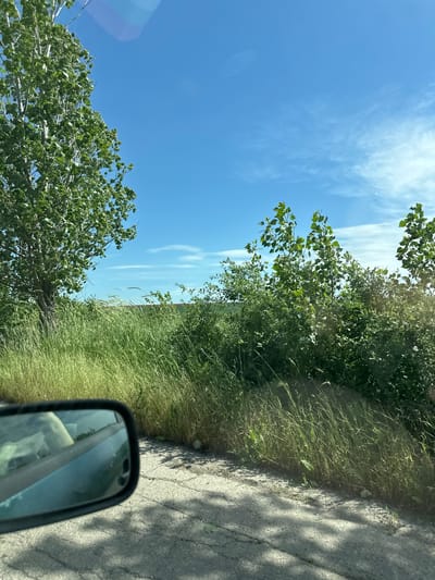 The image depicts a view from a vehicle traveling on a paved road, presumably in a rural area near Septemvritsi, Bulgaria. Vegetation, including trees and tall grasses, lines the roadside. The sky is blue with wispy clouds. The vehicle's side mirror is visible in the foreground, reflecting the interior. The image is rotated counterclockwise.