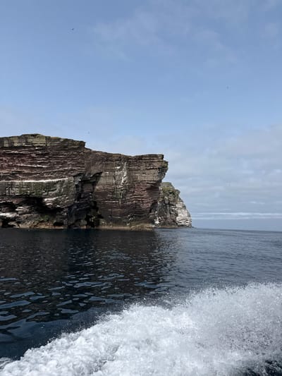 A wide shot captures a dramatic sea cliff rising from dark, choppy water. The cliff face exhibits distinct horizontal striations of reddish-brown and grey rock, with patches of white guano indicating bird nesting sites. The sea is in motion, with a prominent white wave wake in the foreground suggesting the perspective is from a moving vessel. In the distance, the sea meets a hazy sky with scattered clouds and several small, dark birds in flight. The image appears to be taken at sea level, looking towards the coast. The location is the Shetland Islands, United Kingdom.