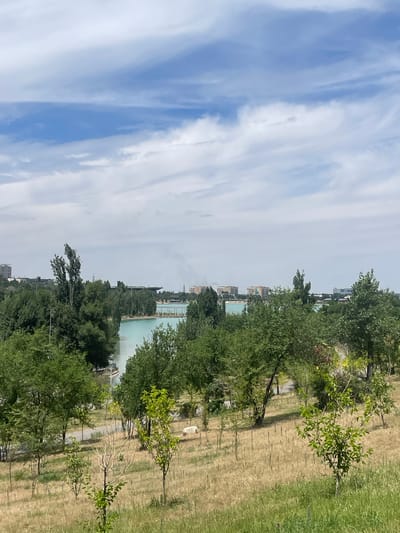 The image captures a landscape view of the Big Almaty Canal in Almaty, Kazakhstan. The foreground features dry, yellowed grass and a few young trees with green leaves. In the midground, a dense line of mature trees with lush green foliage borders a body of bright turquoise water, likely the canal. Beyond the water, a cityscape is visible with apartment buildings and other structures under a partly cloudy sky. The overall scene depicts a semi-urban environment with elements of nature and infrastructure.