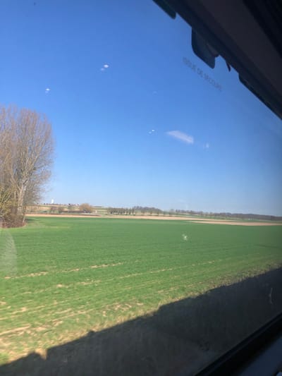 The image captures a rural landscape in Hochfelden, France, viewed through a window, presumably from a moving vehicle such as a train or bus. The primary subject is a vast expanse of lush green agricultural field dominating the midground, displaying linear patterns consistent with cultivation. The field extends towards a distant horizon. To the immediate left, a group of deciduous trees stands with bare branches, suggesting late winter or early spring. In the far background, a long line of trees marks a boundary, behind which several indistinct buildings and a prominent, slender white cylindrical tower are visible under a clear, bright blue sky. The lower right section of the image features a dark, diagonal shadow cast onto the field, likely from the vehicle the photograph was taken from. Reflections are visible on the windowpane, notably the French text "ISSUE DE SECOURS" (Emergency Exit) in the upper right quadrant, indicating the interior vantage point. No individuals or direct interactions are present in the scene. The lighting suggests a clear, sunny daytime.