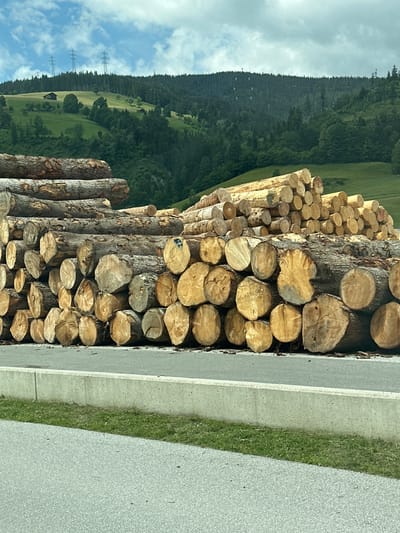 A large stack of felled logs, likely spruce or pine due to their straight grain and light color, is positioned in front of a lush green mountainside under a partly cloudy sky. The logs are cut into various lengths and diameters, with some appearing rough and others more smoothly finished. Their ends reveal intricate wood grain patterns, with some showing darker heartwood and lighter sapwood. In the background, the mountainside is covered in dense evergreen forest, punctuated by patches of open green fields. A few small buildings are visible nestled on the slopes, and power lines with tall pylons traverse the upper reaches of the hills. The scene appears to be located in a rural or mountainous area, possibly near Reitdorf, Austria, a region known for its natural beauty and forestry. The foreground shows a paved road and a concrete barrier, suggesting the logs are prepared for transport or processing. There are no people visible in the image.