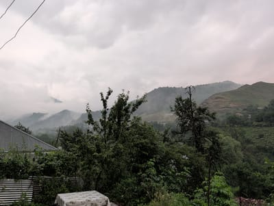 The image captures a cloudy, overcast day in Toğanalı, Azerbaijan, with a view of lush green hills and mountains shrouded in mist. In the foreground, to the left, a corrugated metal roof of a building is visible, partially obscured by dense foliage. In front of this building, a table covered with a patterned cloth is set. To the right, various trees and bushes create a dense green barrier. The middle ground features more trees and vegetation, leading to the rolling hills. In the background, mist clings to the slopes of the mountains, partially obscuring them and creating a sense of depth and atmospheric condition. The overall scene suggests a rural or semi-rural setting characterized by its natural landscape and overcast weather. There are no people visible in the image.