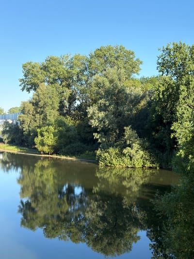 This image depicts a serene body of water reflecting lush green trees and a clear blue sky. The scene is located in the city of Druten, Netherlands. On the left side of the image, a modern, light-colored structure with vertical lines, possibly a bridge or building, is partially visible. The water's surface is calm, showing clear reflections of the surrounding vegetation and the sky. The trees are dense and varied, with some appearing taller and more established than others. The overall impression is one of natural beauty and tranquility within an urban setting.