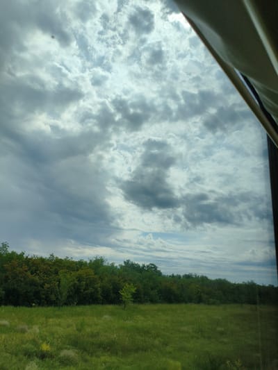 The image captures a landscape scene with a dramatic sky filled with gray and white clouds, suggesting overcast or stormy weather. The upper portion of the image is dominated by these clouds, with patches of lighter sky peeking through. Partially visible in the upper right corner is a curtain or fabric edge, indicating the photo may have been taken from indoors, possibly a vehicle or building. Below the sky is a line of dense green trees, forming a dark forest or tree line. This tree line is situated at the edge of a wide, open field covered in green grass. The field appears somewhat unkempt, with some dry grasses or wildflowers interspersed. The overall impression is a natural, possibly rural or suburban, environment under a dynamic sky. The location is identified as Buzuluk, Russia.