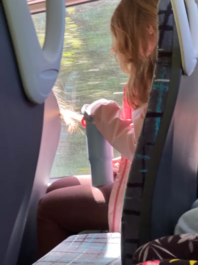 This is a close-up, slightly blurry, rotated photograph taken from inside a vehicle, possibly a bus or train, looking outwards. The perspective is low, focusing on the interior elements and a person's legs.
In the foreground, a white, curved plastic handle or armrest is visible on the left. The middle ground is dominated by the legs of a person wearing dark brown leggings or tights, with their knees bent and feet not visible. They appear to be sitting. Above their legs, a light pink fabric is draped, possibly a jacket or blanket. A light blue cylindrical object, perhaps a water bottle or a can, is held by an unseen hand and points towards the window. Sparks or light flares are visible originating from the tip of this object, suggesting an interaction or event.
The background shows a blurred view through a window, with streaks of green and yellow suggesting foliage and sunlight filtering through trees. The time of day appears to be daytime, possibly late afternoon given the quality of the light.
The overall impression is casual and perhaps a moment of activity captured unexpectedly. There is no visible text in the image. The location context of Tullycullion, Ireland, does not provide specific visual cues within the photograph itself.
