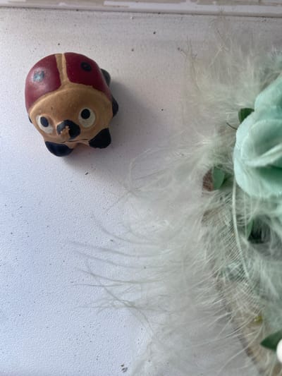 A small, ceramic ladybug figurine with red and tan coloration is positioned on a textured white surface. The ladybug faces left, with its black spots and white eyes visible. To the right of the ladybug, a cluster of delicate white feathers and a portion of a light green fabric flower are present. The background appears to be an indoor setting, possibly a windowsill or table, in Osek, Czechia.