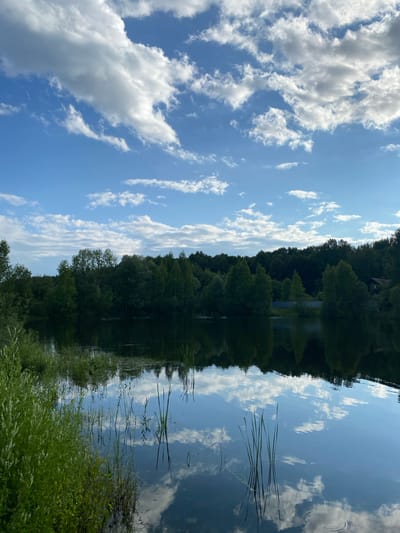 The image depicts a serene natural scene featuring a body of water, likely a lake or river, reflecting a vibrant blue sky filled with fluffy white clouds. A dense line of lush green trees forms the far bank, creating a stark contrast against the sky and its reflection. Reeds and tall grasses grow along the near bank, with some emerging from the water's surface. The sunlight suggests it is daytime, possibly late morning or early afternoon, given the bright sky and clear visibility. The overall mood is peaceful and tranquil. There is no visible text in the image.