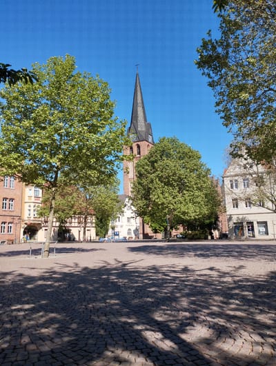 The image captures a town square in Bitterfeld-Wolfen, Germany, with a cobblestone surface largely obscured by shadows from trees. In the background, the tower of a church rises between the trees. Buildings surround the square, including structures with brick and half-timbered facades. On the far right, a building with a business storefront is visible. In the center of the background, a small group of people is present near some benches. The overall atmosphere is one of a calm, sunny day.