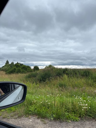 The image captures a roadside view in Большое Село, Russia, under a cloudy sky. The foreground features a car's side mirror, reflecting the vehicle's interior and a portion of the driver's arm with a yellow bracelet. To the right of the mirror, a patch of daisies and other wildflowers grows in tall grass. The middle ground is dominated by a dense, green field of various plants and bushes, with a line of trees forming the horizon. The background is a vast expanse of overcast sky, with heavy, gray clouds stretching across the frame. The overall atmosphere is muted, suggesting a cool or damp day.