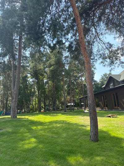 The image displays an outdoor residential or recreational property located in Hlibivka, Ukraine, under bright daylight. A meticulously maintained green lawn spans the foreground and mid-ground, exhibiting distinct shadows cast by numerous tall, mature pine trees that dominate the left and center portions of the frame and extend into the background.

On the left side of the lawn, beneath the trees, multiple green lounge chairs are visible. In the mid-ground, two hammocks, one dark-colored and one lighter, are strung between trees. To the right of the hammocks, a set of light-colored wooden wickets, consistent with a lawn game like croquet, rests on the grass. Further to the right, a wooden ramp-style board, resembling a cornhole game setup, is present on the lawn near a building.

The right side of the image features a large, multi-story building constructed with dark brown siding, numerous rectangular windows, and a prominent green-shingled peaked roof. A white, multi-sided gazebo structure is partially visible among the trees in the background, near the center. No individuals are present in the scene.