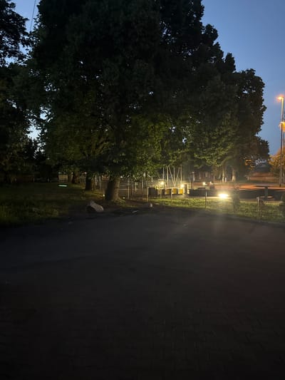 The image depicts an outdoor scene at dusk or night, showcasing a park-like area with mature trees and illuminated elements. The foreground is dominated by a dark, paved surface, likely a pathway or road, with visible interlocking brick patterns. Beyond this, a grassy area is sparsely lit by a few luminous green rectangular markers on the ground, interspersed with larger, rough-textured rocks.
In the middle ground, several trees with lush green foliage are prominent. Some are illuminated by artificial lights, including several ground-level lamps casting a warm glow, and a taller streetlamp with an orange light visible on the right side of the frame. A low fence, constructed with metal posts and possibly mesh or wire, encloses part of the area. Some yellow cylindrical objects, possibly bins or decorative elements, are also present within the fenced section. In the distance, hints of buildings and more trees can be observed. The sky is a deep blue, indicative of twilight. There are no people or animals visible in the image. The scene appears to be in a public or recreational space, likely within the city of Wąwelnica, Poland, given the context.