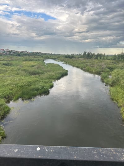 The media file depicts a wide, calm river flowing through a grassy, natural landscape. The river's surface is dark and reflects the cloudy sky, creating a somewhat somber mood. The banks are densely covered with lush green grass and some scattered trees. In the distance, a small settlement or town can be seen along the riverbank, with rooftops peeking through the greenery. The sky is filled with dramatic, textured clouds, suggesting an overcast or approaching storm. The lighting indicates it is likely daytime, possibly late afternoon given the cloud cover. The overall scene evokes a sense of natural tranquility, with a hint of human presence in the distant settlement. There is a dark, textured object in the foreground on the right side, possibly part of a railing or structure. No people are visible in the image.