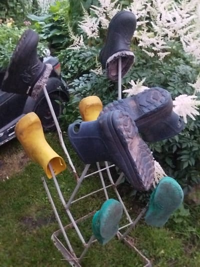 The image shows a garden display of rubber boots, likely used as a decorative element. The boots are arranged in a whimsical manner, with some appearing to be placed on poles or a metal structure resembling a shopping cart. There are several pairs of boots in various colors, including black, yellow, and blue-green. They are situated amongst lush green foliage and white flowering plants, suggesting an outdoor, possibly rural, setting. The ground appears to be covered in grass, with some patches of bare earth. The overall impression is one of a rustic and creative garden decoration. Without further context or visible landmarks, it is not possible to ascertain the exact location within Крупіцкі сельскі Савет, Belarus.