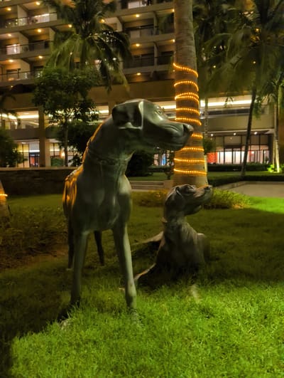 This is a nighttime, eye-level, medium shot of two dog statues in a grassy area in front of a building with palm trees. The statue in the foreground is standing, while the statue in the background is sitting. Both statues are facing to the right. The standing statue is a dark, metallic color, and it has a collar. The sitting statue is also a dark, metallic color. The building behind the statues appears to be a hotel or resort, with several floors and many lit windows. The palm trees have string lights wrapped around their trunks, giving them a festive appearance. The grass is lush and green, and it is lit by spotlights, creating a vibrant glow. The overall impression is one of a welcoming and luxurious outdoor space.