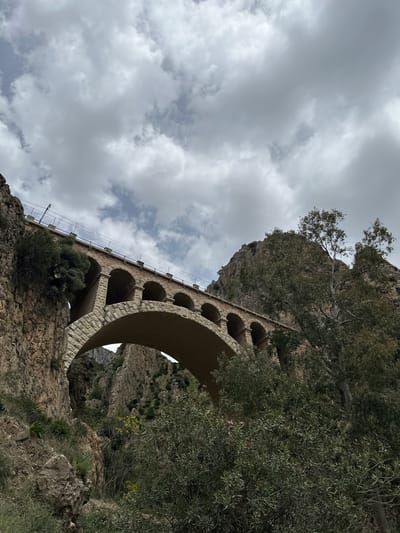 An upward-angled view captures a robust stone bridge or viaduct, extending across a dramatic, rugged landscape in Ardales, Spain. The bridge is a significant architectural feature, constructed from light-colored, precisely cut stone blocks, forming a series of large, rounded arches. The perspective emphasizes the structural integrity and historical nature of the bridge, with several arches visible both directly from below and receding into the distance. A slender railing or support structure, possibly for utilities or safety, runs along the top of the bridge.

The bridge is nestled within a mountainous or hilly environment, characterized by steep, rocky cliffs and dense natural vegetation. Various trees and shrubs cling to the rock faces and surround the bridge, including tall trees with lighter-colored bark and lush green canopies on the left, and darker, denser foliage, some bearing hints of small pink and yellow flowers, on the right. The terrain below the bridge is rocky and uneven, with sparse undergrowth.

The sky is heavily overcast, filled with thick, uniform grey clouds that create a diffused, soft light across the entire scene. There is no direct sunlight, suggesting a cloudy day. No human figures or activities are visible, presenting a serene yet powerful depiction of the bridge as an enduring human creation integrated into the wild Spanish landscape. There is no discernible text in the image.