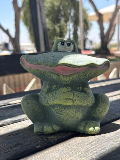 The image shows a close-up, low-angle shot of a green ceramic frog statue. The frog is sitting with its legs tucked underneath it, facing the camera. It has a wide, pink-lined mouth and large, blue-eyed, cartoonish features. The statue is placed on a weathered wooden surface, likely a table or bench, with visible grain and shadow patterns. In the background, out of focus, are trees with sparse foliage, suggesting an outdoor setting. The sky is bright blue, indicating daylight. The environment appears arid, consistent with the location in the Bnei Shimon Regional Council, Israel.
