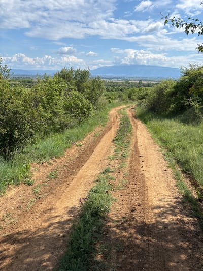 The image shows a dirt path winding uphill, flanked by green vegetation. To the left, a valley stretches out towards distant mountains under a blue sky with scattered clouds. The path has tire tracks, indicating vehicle use. The scene appears to be outdoors, possibly in a rural or semi-rural setting near Katina, Bulgaria, given the landscape features. No people are visible. The focus is on the path, the surrounding foliage, and the distant view.