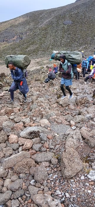 The image displays a rugged mountain ascent at Gilman's Point, Tanzania, under an overcast sky. The terrain consists of a steep, rocky slope dominated by a varied assortment of grey, brown, and reddish-brown volcanic rocks and boulders, interspersed with sparse, low-lying greenish-grey vegetation. Two male individuals, presumably porters, are prominently featured in the foreground and mid-ground, actively climbing. The individual on the left wears a dark blue waterproof jacket over dark trousers, dark shoes, and carries a large, olive-green cylindrical canvas bundle secured to their back; a red object is visible on their right hip. The individual on the right wears a dark long-sleeved top, light blue shorts over black leggings, grey athletic shoes, and a light green neck gaiter, also carrying a similar large, olive-green cylindrical canvas bundle. In the mid-ground and background, a group of approximately 10-15 additional individuals, some seated and others standing, are visible along the rocky path, dressed in various multi-colored trekking attire.
