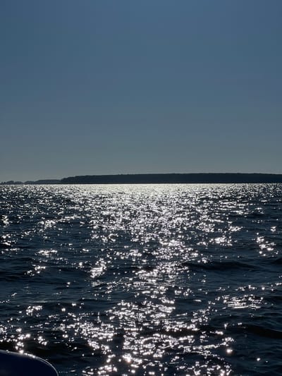 A wide shot captures a body of water under a clear, pale blue sky. The water's surface is textured with ripples and reflects the sunlight in a dazzling display of bright, white sparkles, creating a sparkling effect across the majority of the frame. In the distance, a dark, silhouetted treeline stretches horizontally across the horizon, marking the edge of land. The scene appears to be a natural landscape, likely a lake or a sea, and given the context, it is situated in Novopichugovo, Russia. There are no people or man-made objects prominently visible in the image.