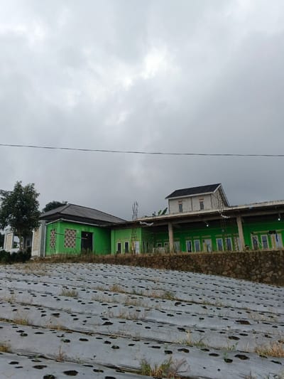 The image displays an overcast daytime scene in Kabiufa, Papua New Guinea. In the foreground, an agricultural field slopes gently upward, covered with a light grey or white plastic mulch system, exhibiting regularly spaced perforations through which small clusters of vegetation are visible. A dark, mortared stone retaining wall borders the upper edge of this field. Situated on a raised embankment beyond the wall is a multi-section building complex. The dominant structure is a single-story building painted a vibrant lime green, featuring multiple rectangular windows and doors, and capped with a dark grey pitched roof. To its right, an adjoining section, likely under construction or renovation, presents a two-story appearance with exposed light-colored masonry on the upper floor and a dark pitched roof. This section also incorporates a lower, flatter roof supported by columns, creating a covered veranda over ground-level windows. Vertical metal rebar rods extend from various points on the newer construction. A dense green tree stands to the far left of the main building. The background is dominated by a uniform, grey, cloudy sky. A single black wire or cable stretches horizontally across the upper-mid section of the frame. No individuals are present in the scene.