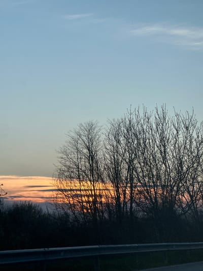 The image depicts a scene at dusk or dawn. A leafless tree occupies the center of the frame, its branches silhouetted against a light orange and grey sky. The sky transitions into a light blue towards the top of the frame with the presence of a sparse cloud. In the right side, there's a dark mass that could be vegetation and a light grey pole of unknown function. The exact location within Kesarevo, Bulgaria, cannot be determined from the image. No people are visible.