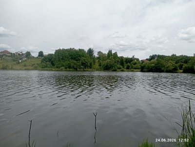 The image depicts a serene lakeside scene under an overcast sky. The foreground is dominated by the calm, rippling water of a lake, reflecting the muted light. A few thin branches and blades of grass emerge from the water and the grassy bank on the right side, adding a touch of natural detail to the foreground.

In the middle ground, a lush green tree line stretches across the horizon, with dense foliage forming a natural barrier. Beyond the trees, on the left side of the image, a few houses with red roofs are visible nestled on a gentle slope. These houses suggest a settlement near the lake. The overall setting appears to be a rural area, possibly a village or a collection of homes adjacent to a body of water.

The weather is cloudy, contributing to the diffused and soft lighting across the scene. There are no visible people or specific activities taking place, suggesting a quiet, contemplative moment. The date and time stamp in the bottom right corner reads "24.06.2026 12:52", indicating that the photograph was taken in the early afternoon. The location context points to Пятрышкаўскі сельскі Савет, Belarus. The scene evokes a sense of tranquility and natural beauty.