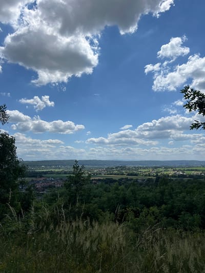 This is a landscape photograph taken from a high vantage point overlooking the city of Karniowice, Poland. The sky is a vibrant blue with scattered white cumulus clouds, some of which are large and puffy, while others are smaller and more wispy. In the foreground, tall dry grasses and dark green foliage are visible, suggesting a natural, possibly wild setting. Beyond the immediate foreground, the city of Karniowice unfolds with a densely packed residential area featuring numerous red-tiled roofs, interspersed with patches of green fields and trees. Further in the distance, a tree-covered hill or mountain range forms the horizon, its contours softened by atmospheric haze. The overall impression is one of a serene, sunny day with a panoramic view of a town nestled within a natural landscape.
