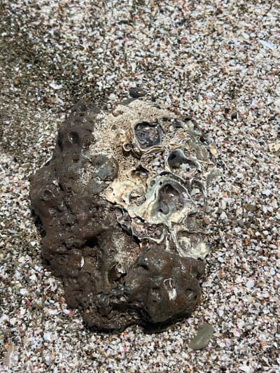 The image shows a large, dark grey rock with a white and green, shell-like pattern on the upper portion of the rock, lying on a beach of small, white, pink and grey pebbles. The rock is surrounded by the pebbles, with a single, darker grey pebble lying just to the right of the larger rock. The image was taken on a beach in Santa Teresa, Costa Rica, at the coordinates 9.632, -85.158.