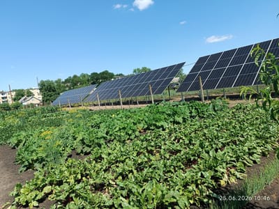 The image shows a field of vegetables with solar panels in the background, a cloudy blue sky, and buildings in the distance. The vegetable field consists of rows of leafy green plants, likely beets and possibly some other garden vegetables. Yellow flowering plants are also visible interspersed within the green foliage. In the background, a series of solar panels are mounted on poles, angled towards the sky, suggesting a solar farm or a residential installation. Behind the solar panels, trees and a few buildings, including a multi-story apartment block, are visible, indicating an urban or suburban setting. The overall scene appears to be a sunny day. The date and time stamp "25.06.2026 10:46" is present in the lower right corner of the image.